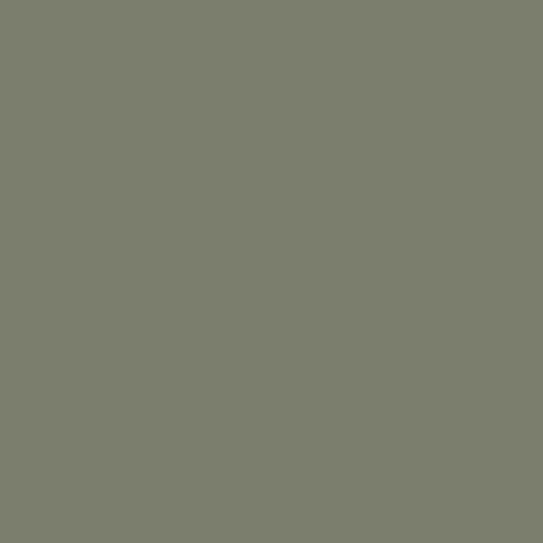 OLIVE (ZIELONY) [+250,00 zł]